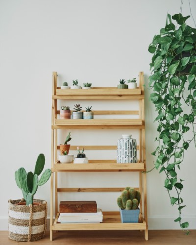 Wooden Shelf for Home and Office